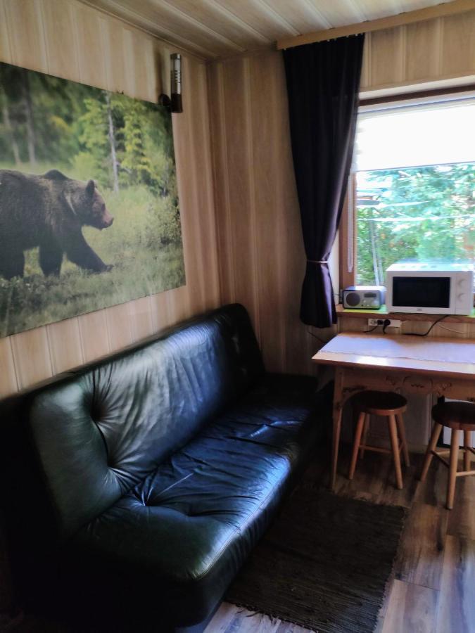 Marynka Apartment Zakopane Bagian luar foto